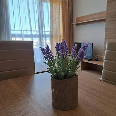 アパート Sorrento Sole Mare *